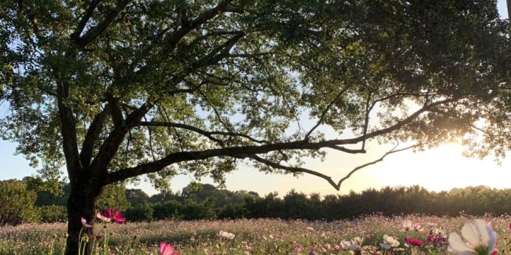 In 1995, this 2,100-acre nature preserve in Fort Mill was dedicated to the public to serve as a natural buffer from urban development and a place for countless activities.
