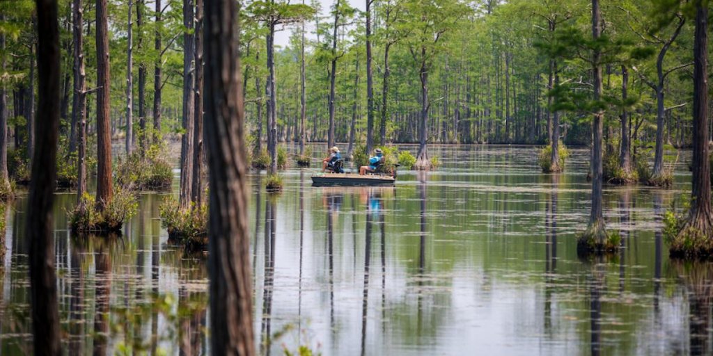 Best Places to Fish in the Olde English District Goodale State Park