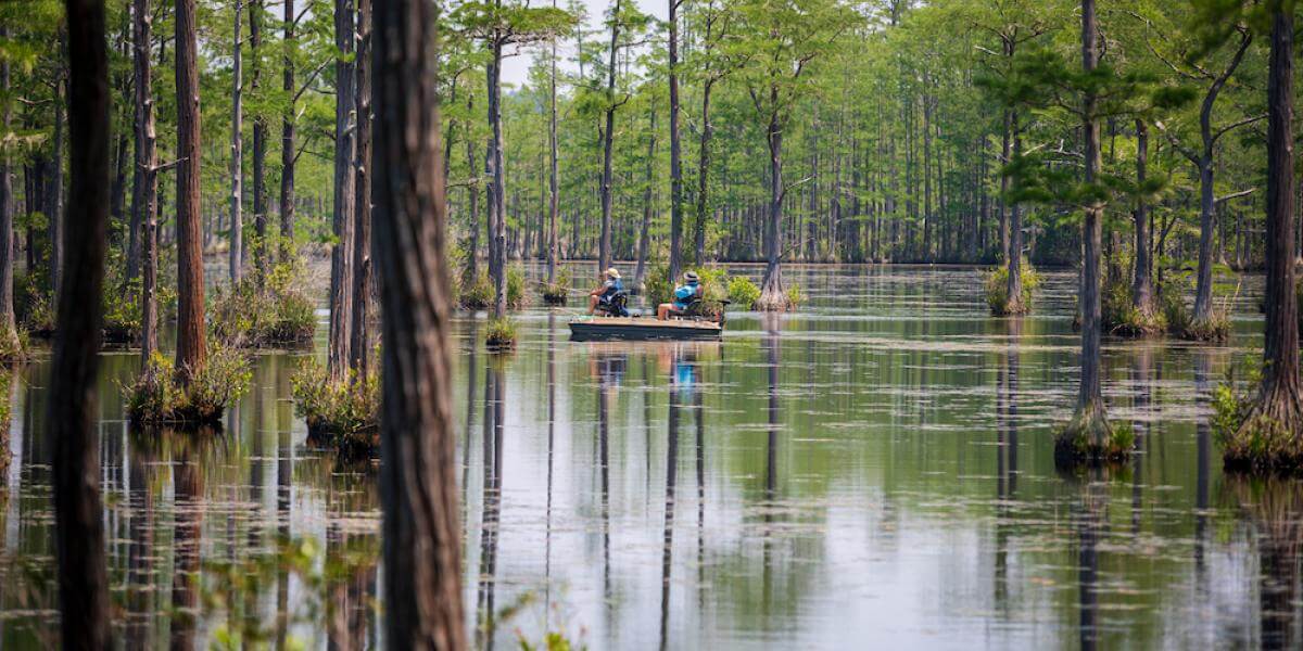 Visit These 9 State Parks in SC's Piedmont Region