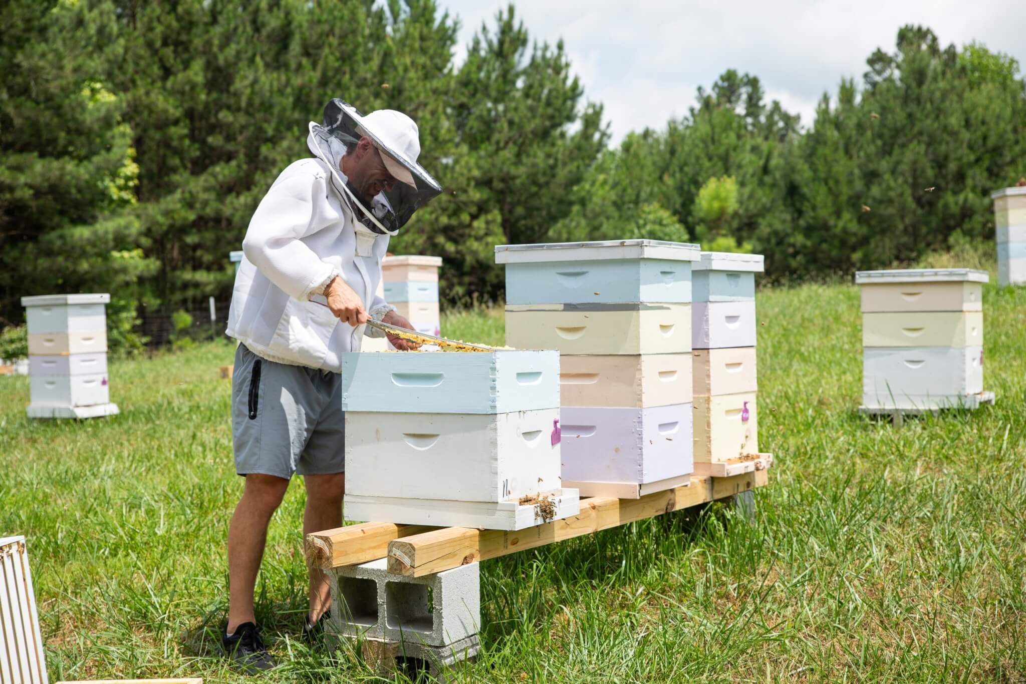 beekeeper at Ivy Place Berry Farm