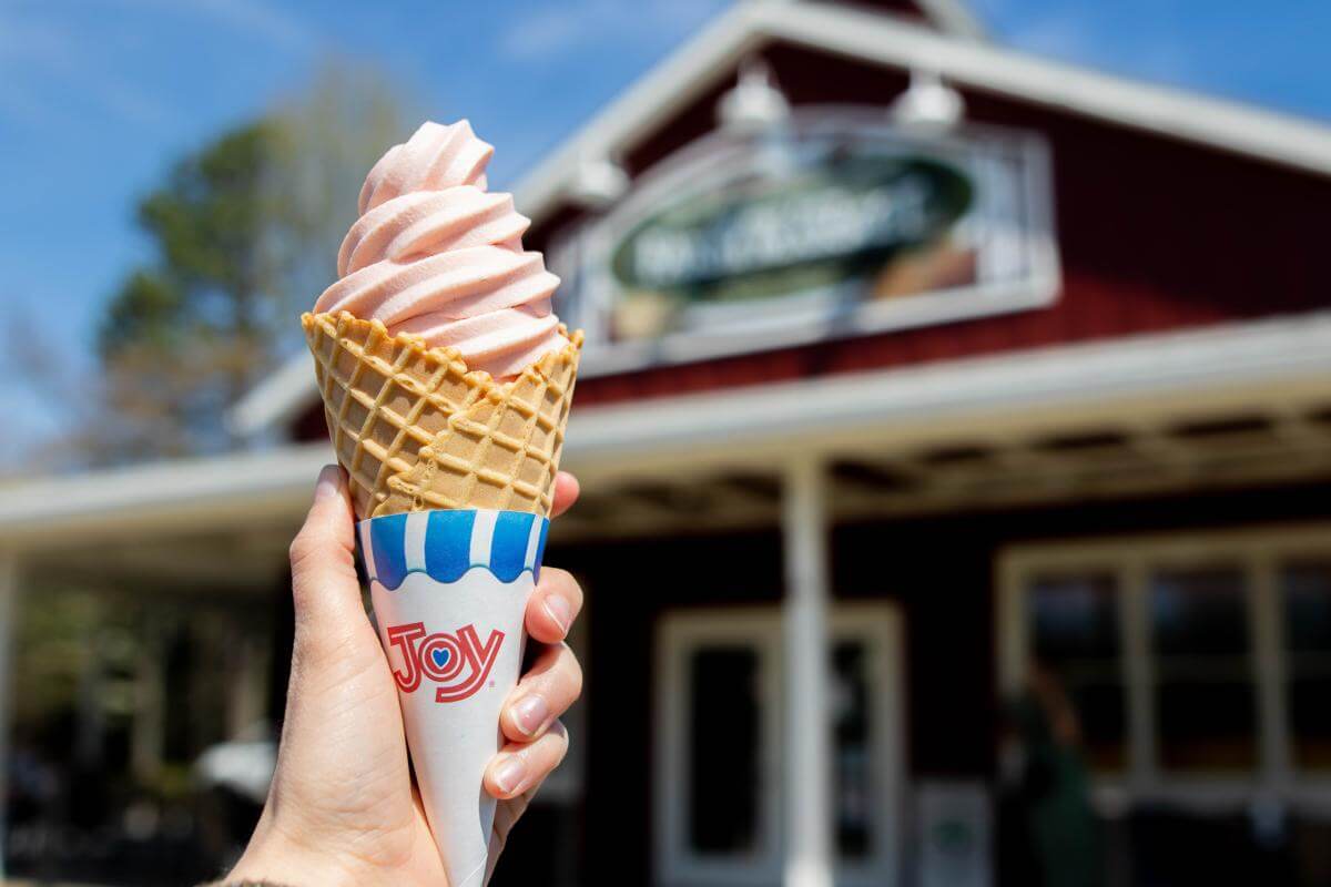 ice cream from Springs Farm