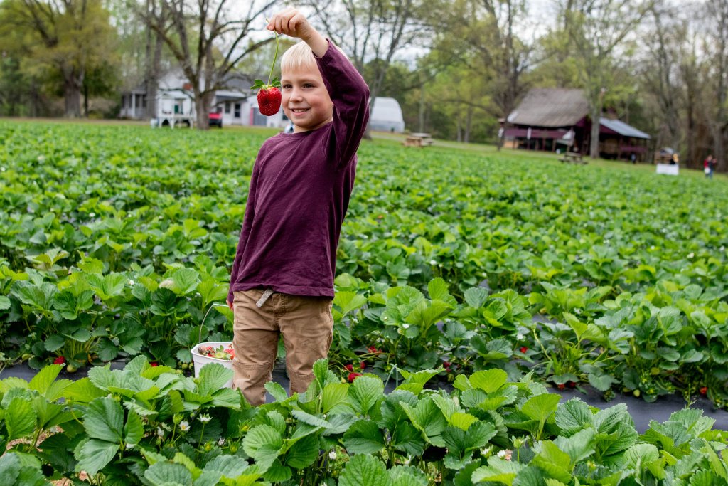 Cherry Place Farm