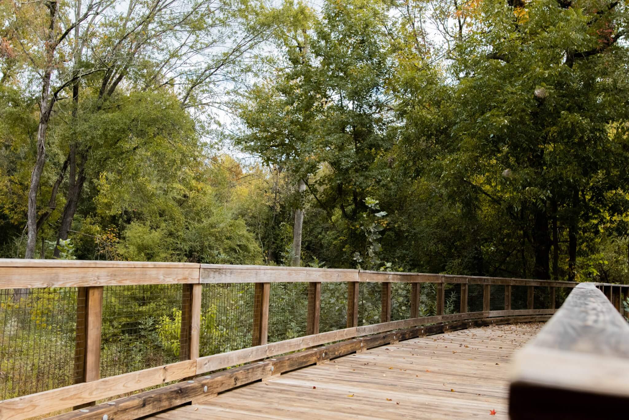 Winter Hikes in the OED Winter Hikes in the OED