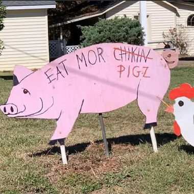 Pig on the Ridge