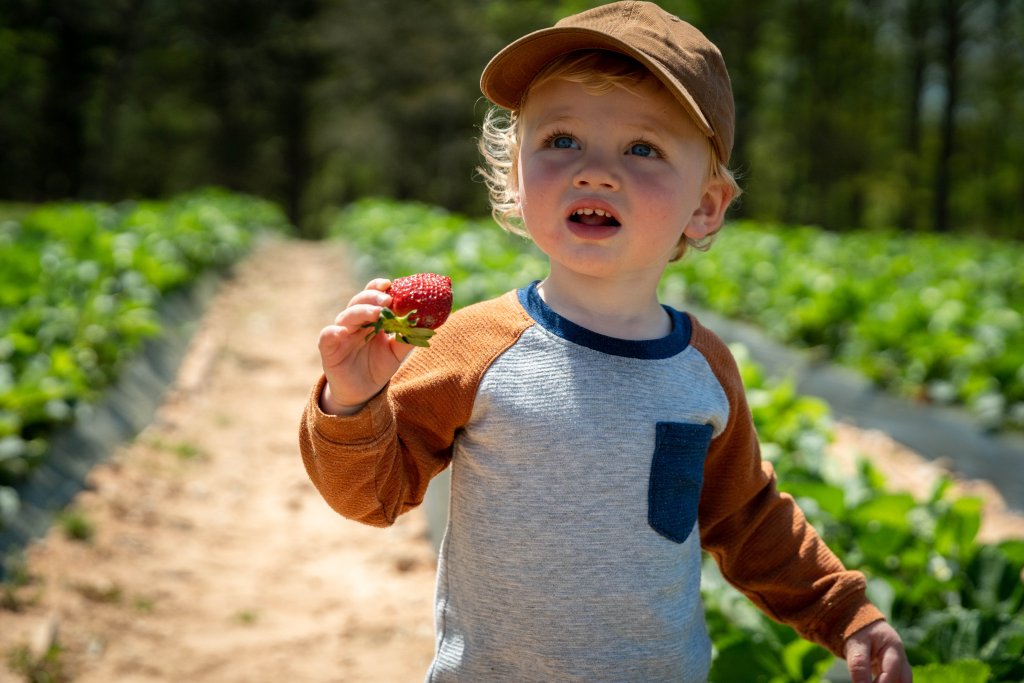 Cherry Place Farm