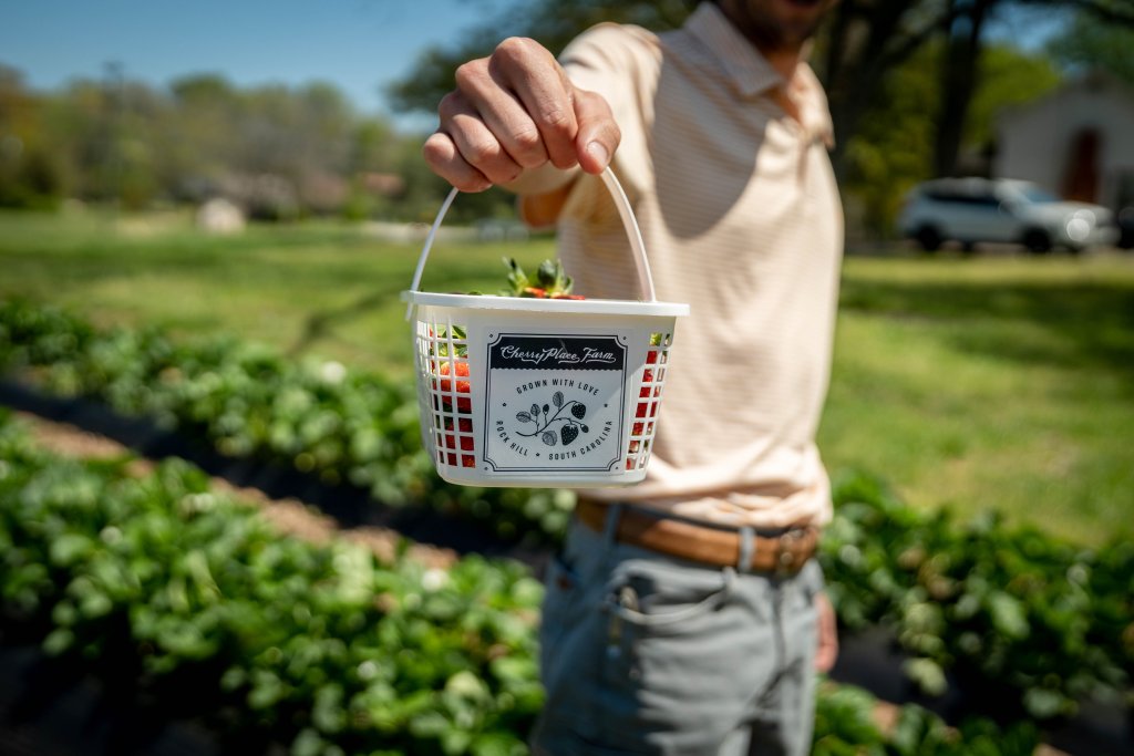 Cherry Place Farm