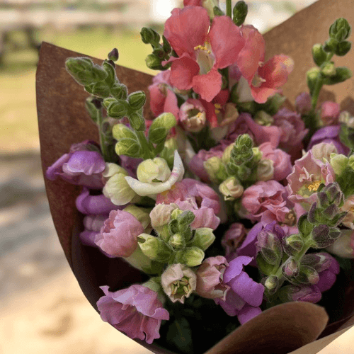 A bouquet of pink and purple flowers