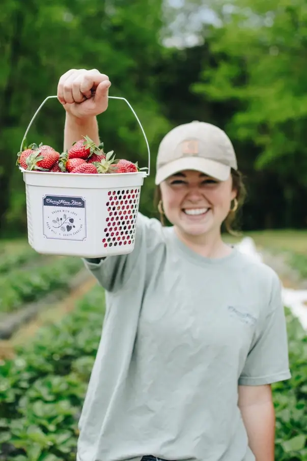 What to Know About Picking Strawberries in South Carolina’s Piedmont