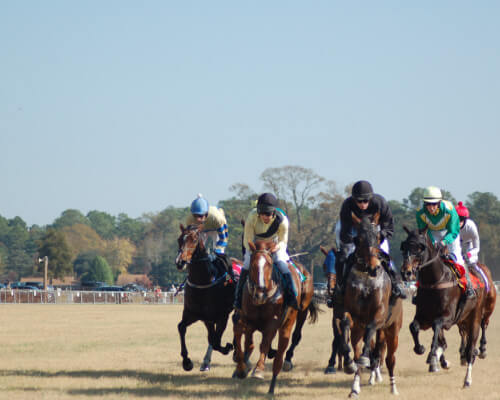 The Carolina Cup Camden, Springdale Race Track