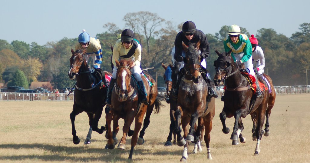 Carolina Cup racing