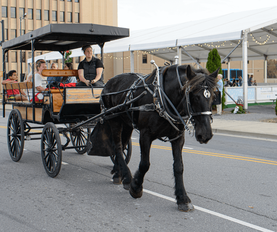 People on a horse drawn carriage ride