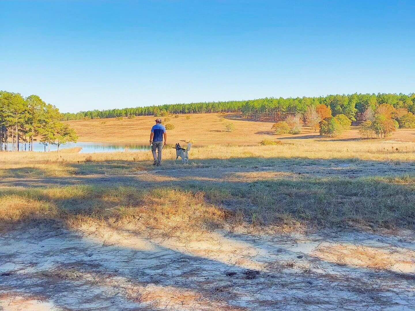 H. Cooper Black Jr. Memorial Field Trial and Recreation Area