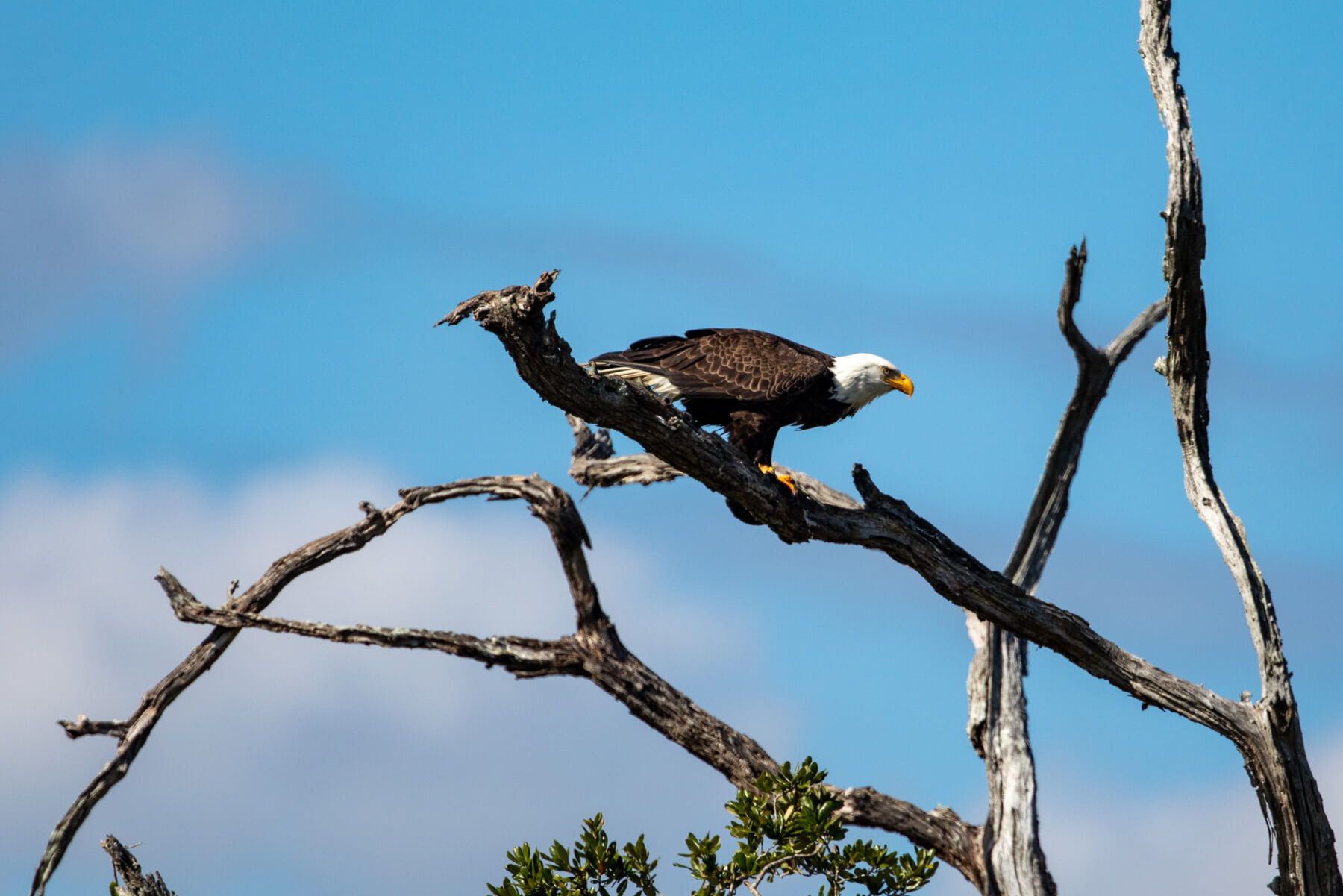 5 Things To Do at Lake Wateree State Park 5 Things To Do at Lake Wateree State Park