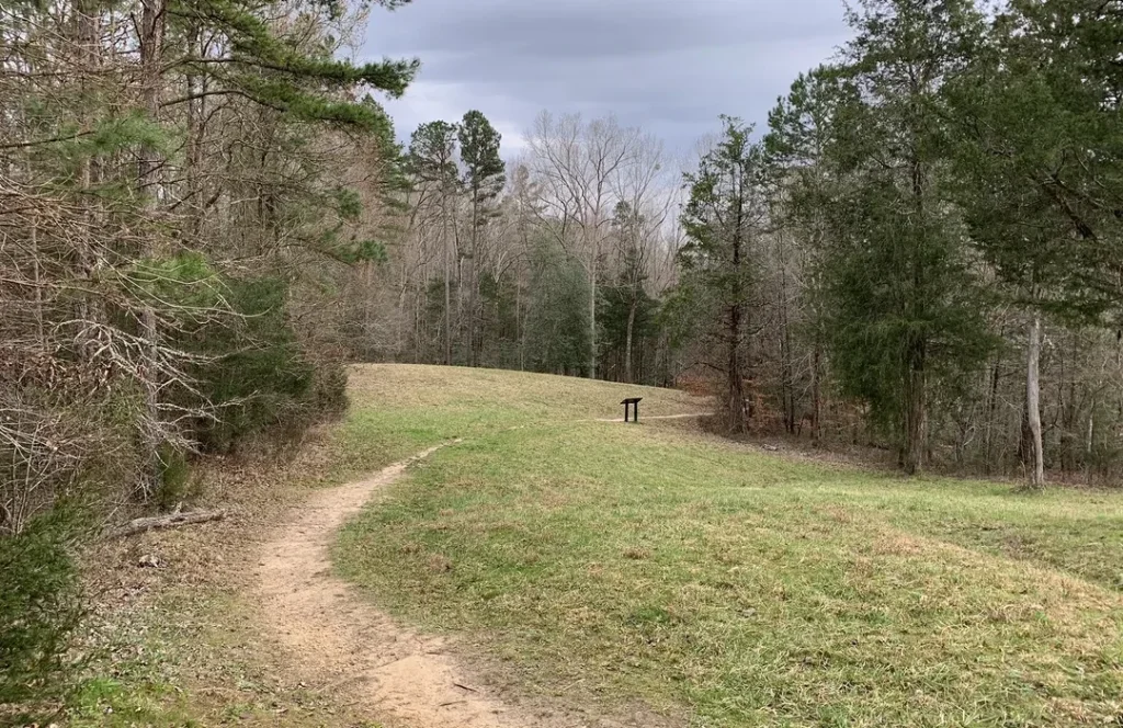 Anniversary of the Battle of Musgrove Mill Hike