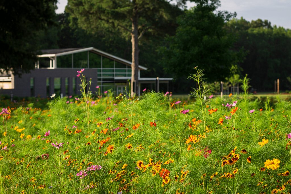 Get to Know the Greenway Van Tour