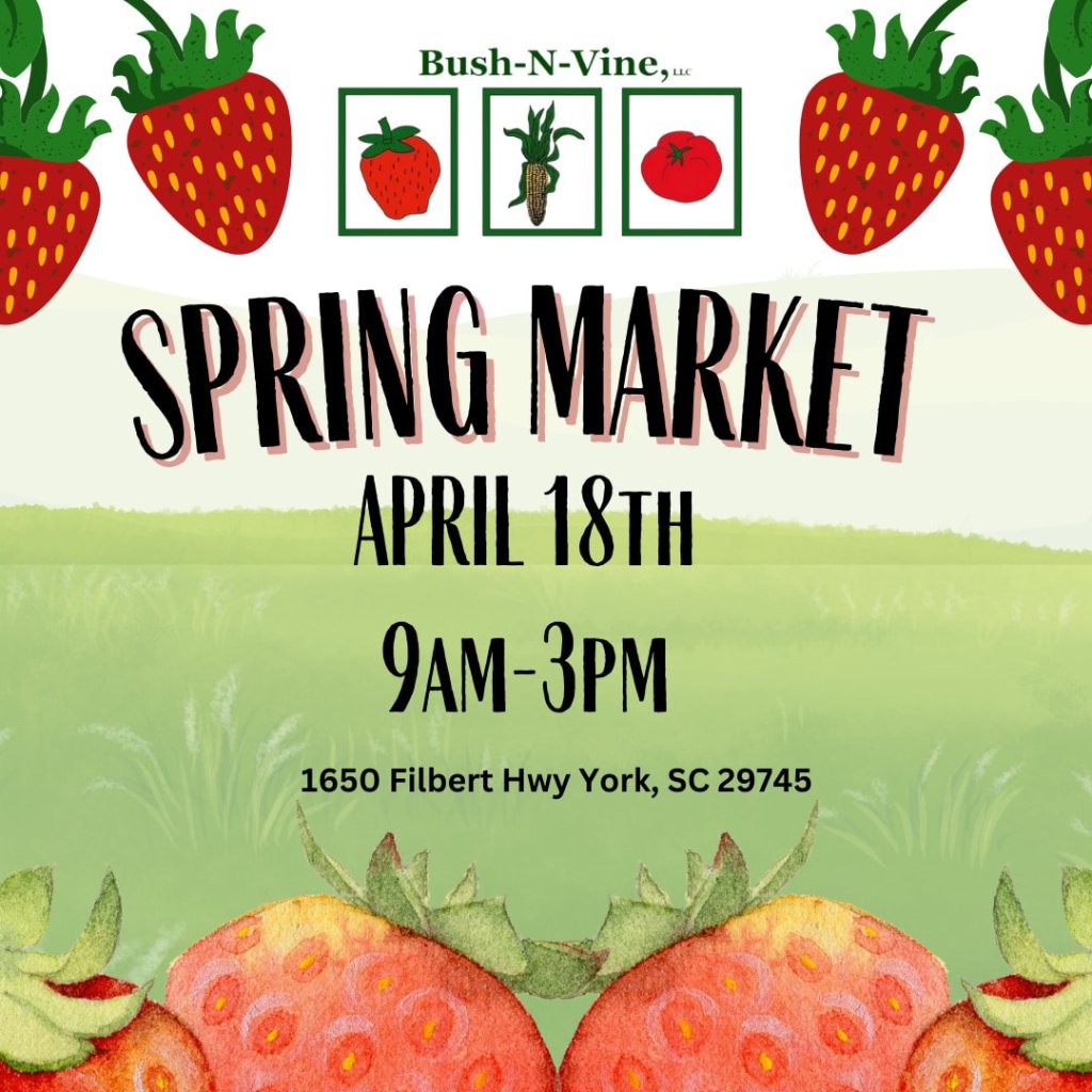 Spring Market at Bush-N-Vine