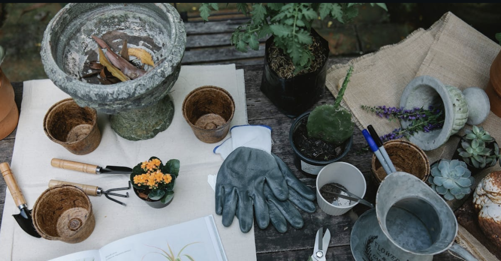 Pots and Blooms – A Springtime Topiary Workshop