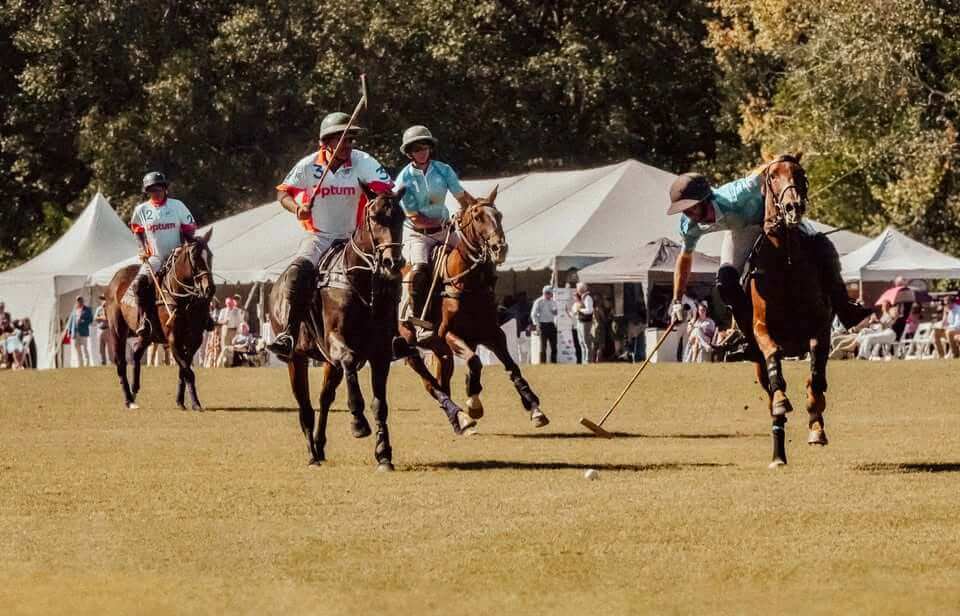 Hickory Top Polo Classic