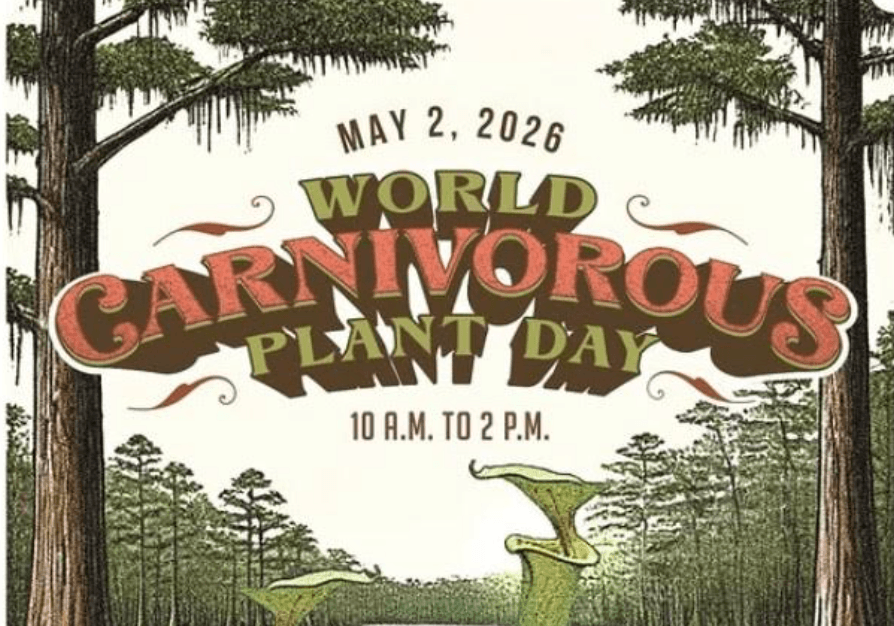 World Carnivorous Plant Day at Goodale State Park
