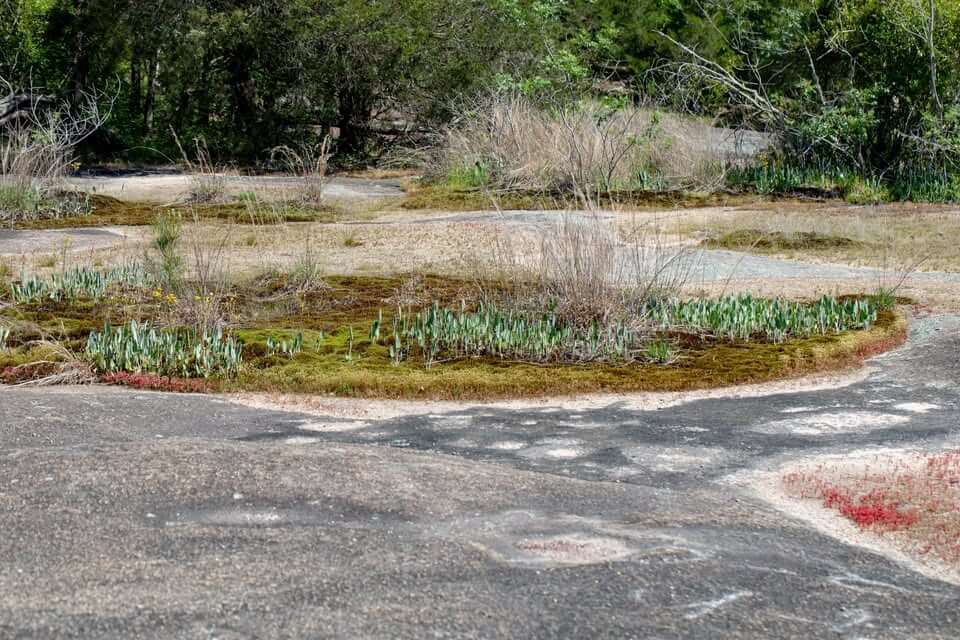 Forty Acre Rock Heritage Preserve and WMA