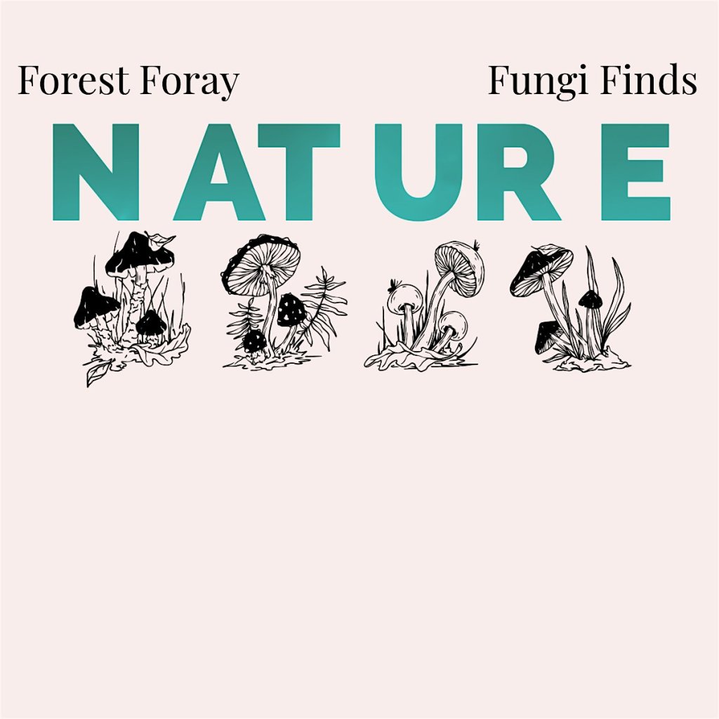 Forest Foray & Fungi Finds Forest at Forty Acre Rock