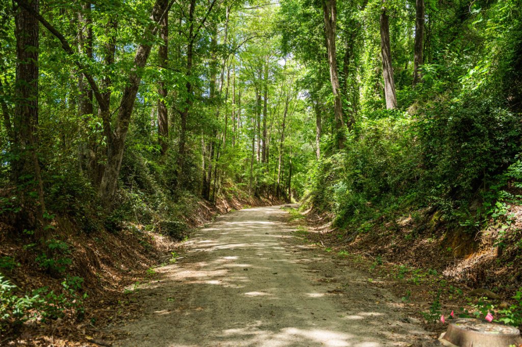Great Falls Rail Trail surrounded by trees in Great Falls, South Carolina.