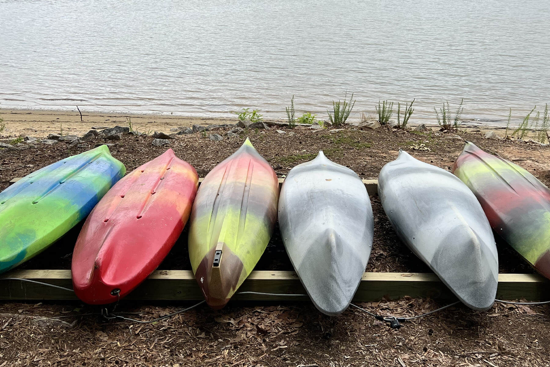 5 Things To Do at Lake Wateree State Park 5 Things To Do at Lake Wateree State Park