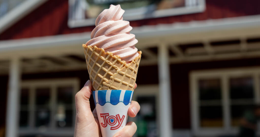 I scream, you scream, we all scream for ice cream at Springs Farm