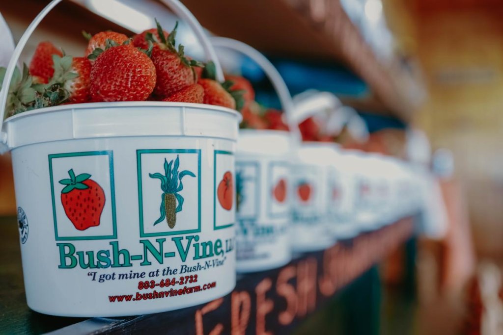 strawberries from Bush-N-Vine