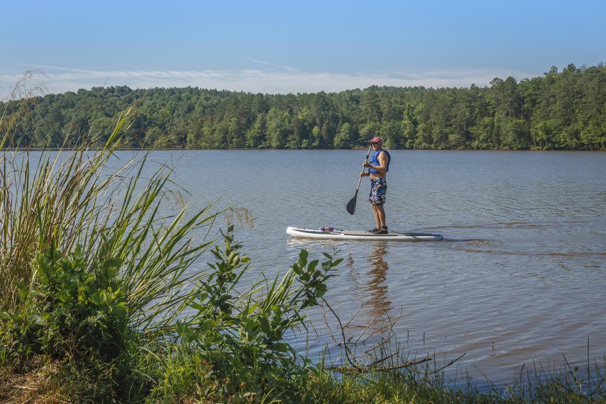 Chester State Park paddle boarder
