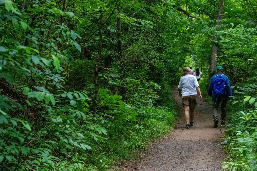 Landsford Canal State Park