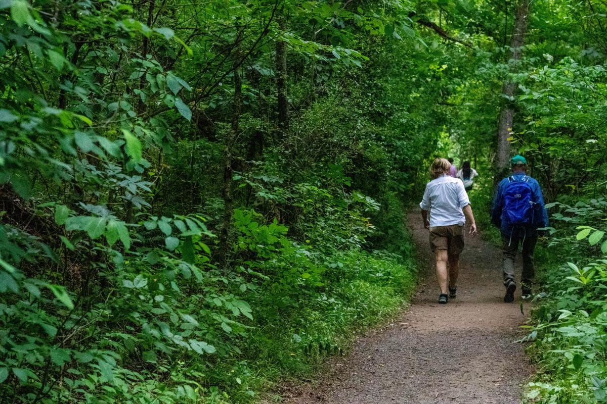 Landsford Canal State Park