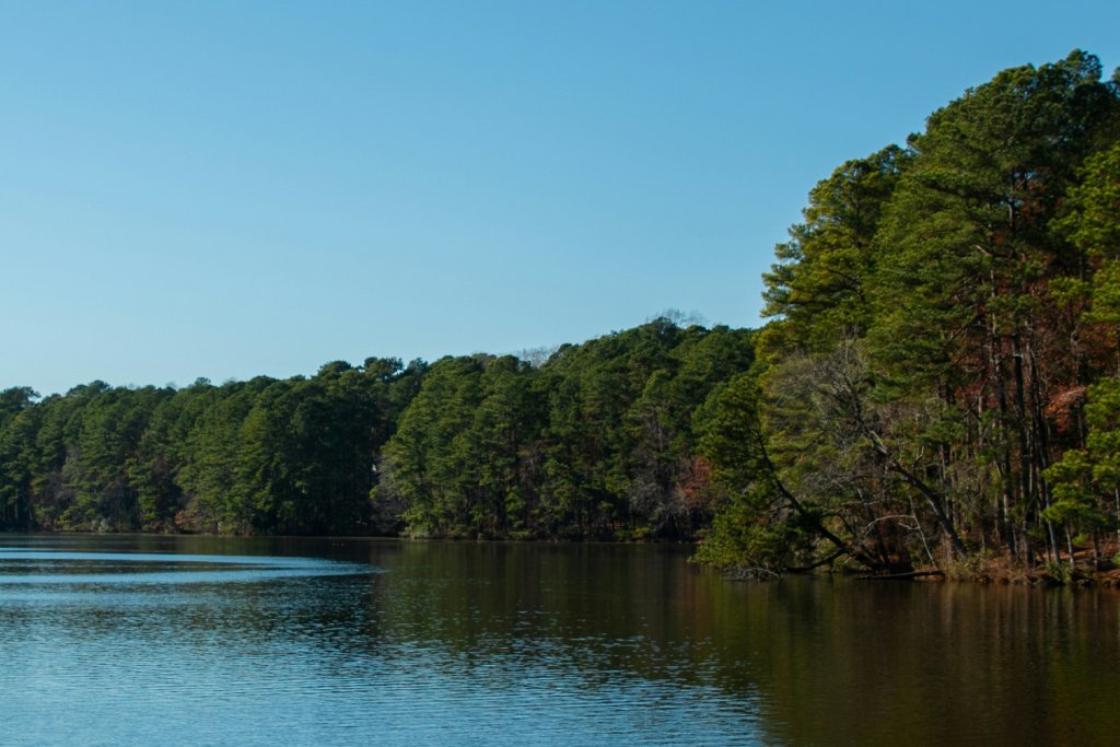 Things To Do at Lake Monticello Park Things To Do at Lake Monticello Park
