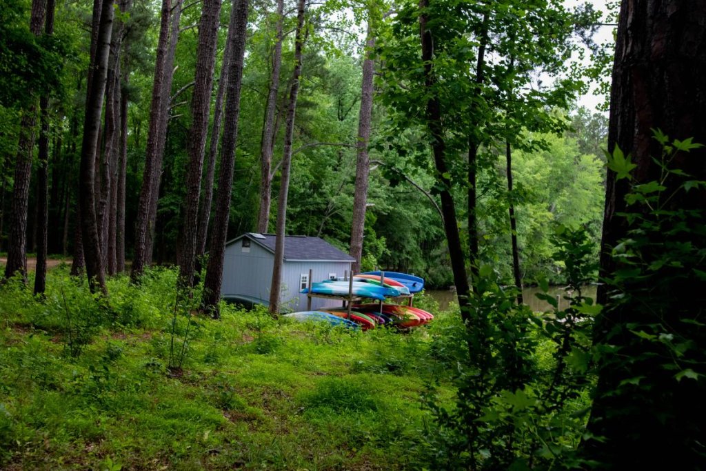 Exploring the Olde English District on a Budget: 7 Must-Do Activities Anne Springs Close Greenway