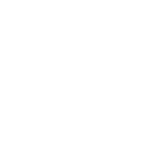 Link in Bio Social Media