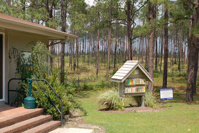 Sand Hills State Forest