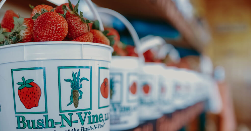 Strawberries from Bush-N-Vine Farm