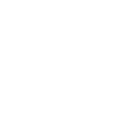 Link in Bio Social Media